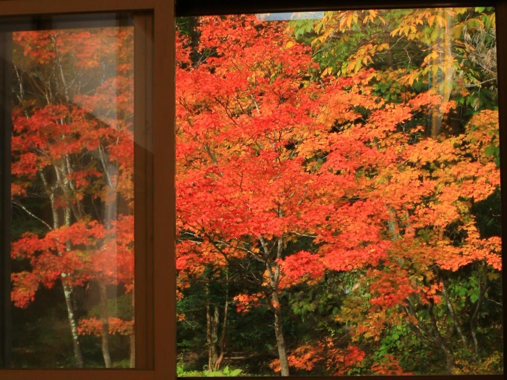 Kyuhonbo Hisayamakan Nagano Exterior foto